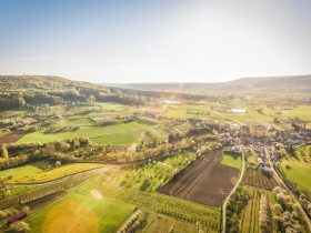 pexels markusspiske 92657 1